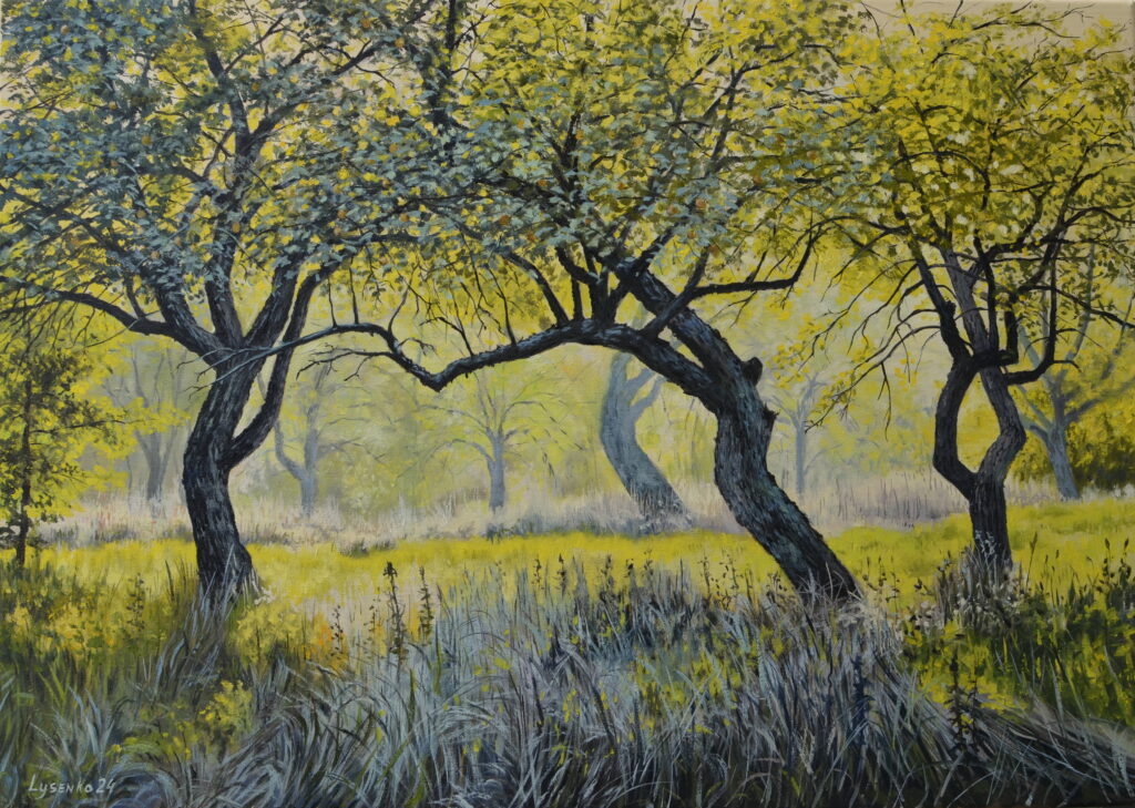 Old Apple Orchard 1024x729