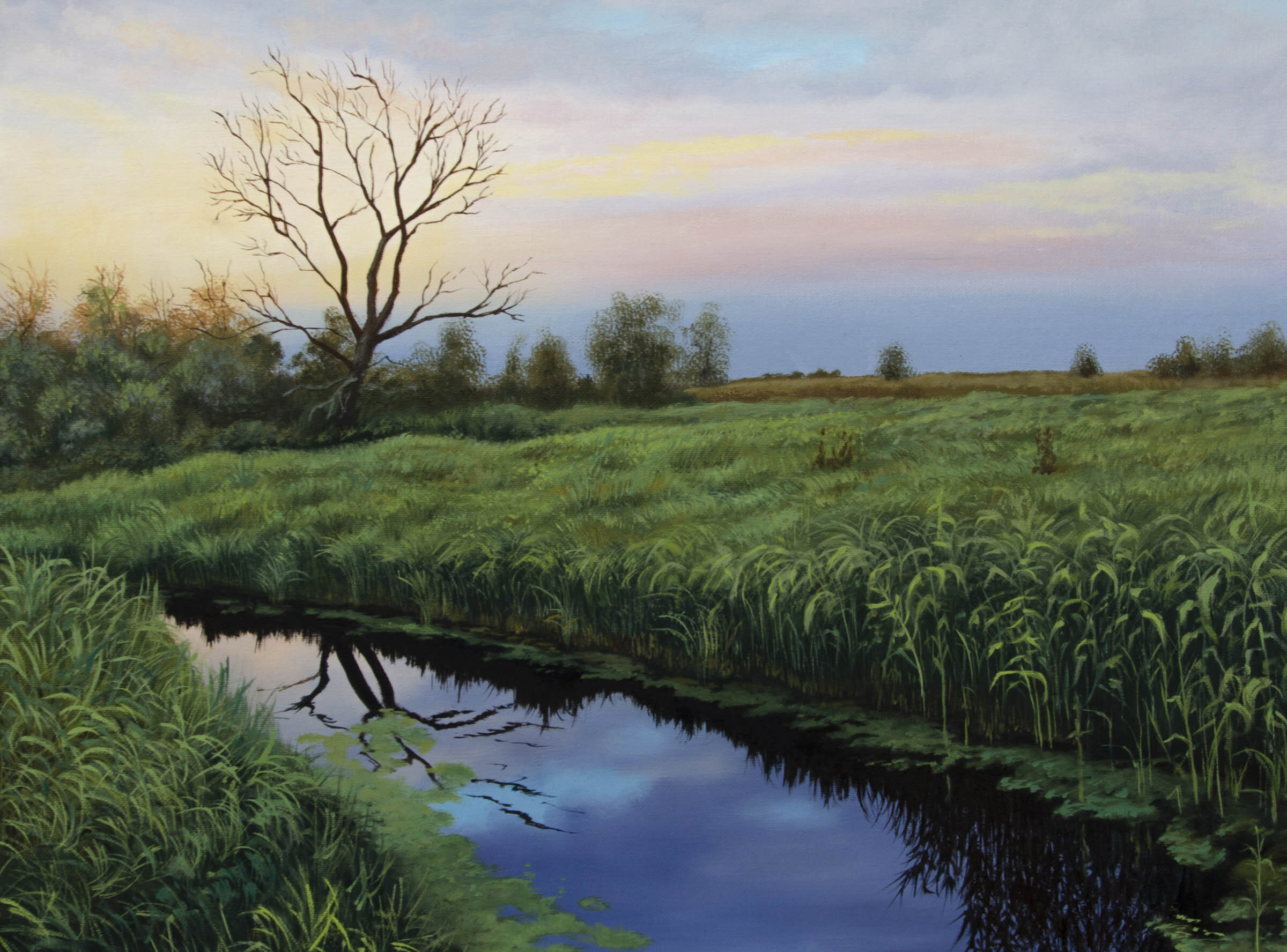 Gallery the evening silence